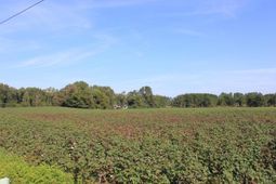 0 Old Highway 6 photo 4