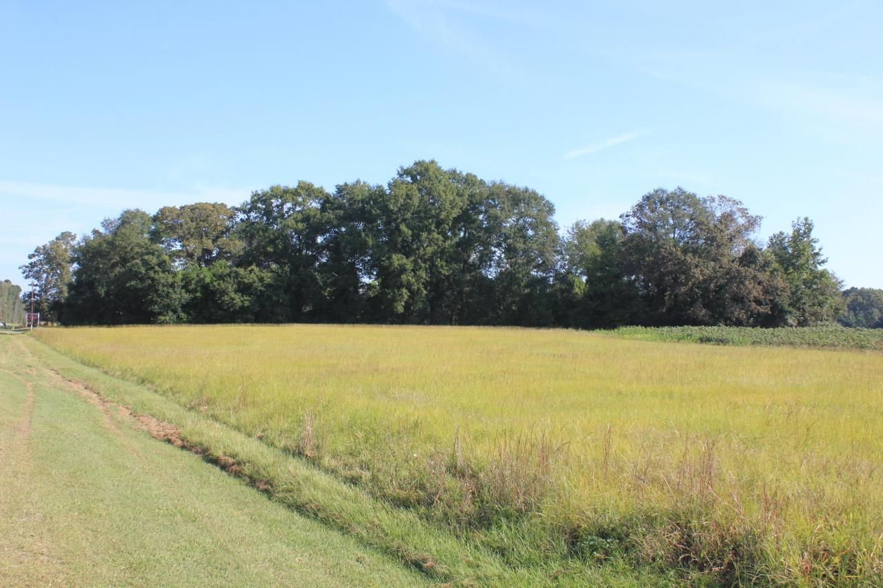 0 Old Highway 6 Photo 5