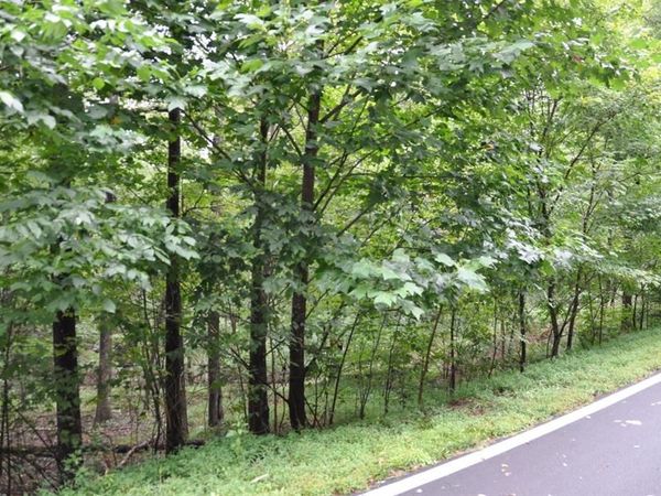 3461 Wild Pansy Ridge, Big Canoe, GA 30143