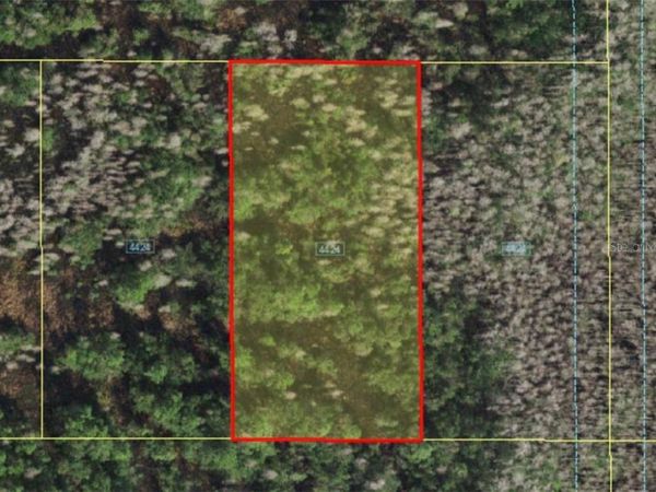 HOLOPAW GROVES ROAD, ST CLOUD, FL 34773