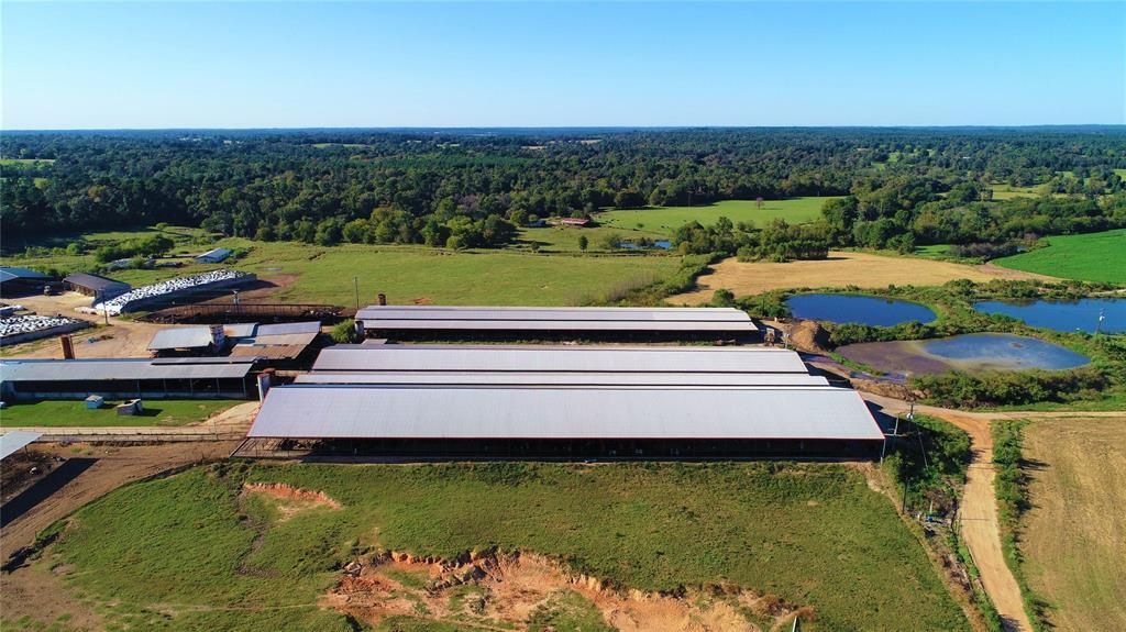 248 County Road 4310, Winnsboro, TX 75494 Main Photo