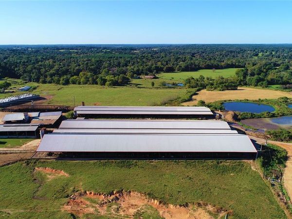 248 County Road 4310, Winnsboro, TX 75494