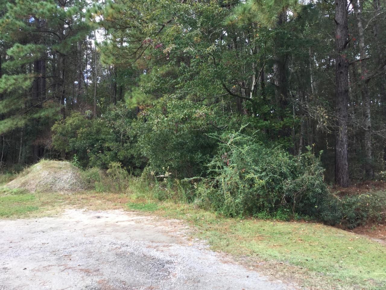 00 Haynesville Rd. Ext. Photo 1