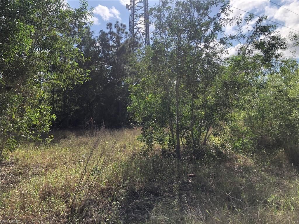 19665 Immokalee Rd, Naples, FL 34120 Photo