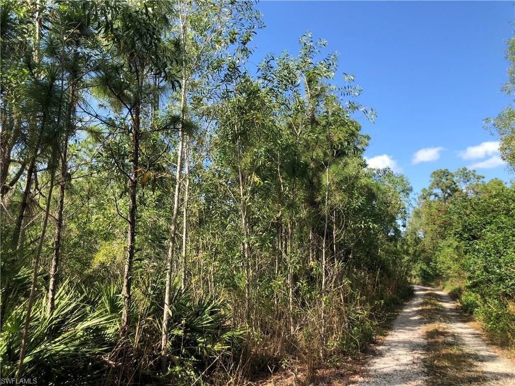 19665 Immokalee Rd, Naples, FL 34120 Photo