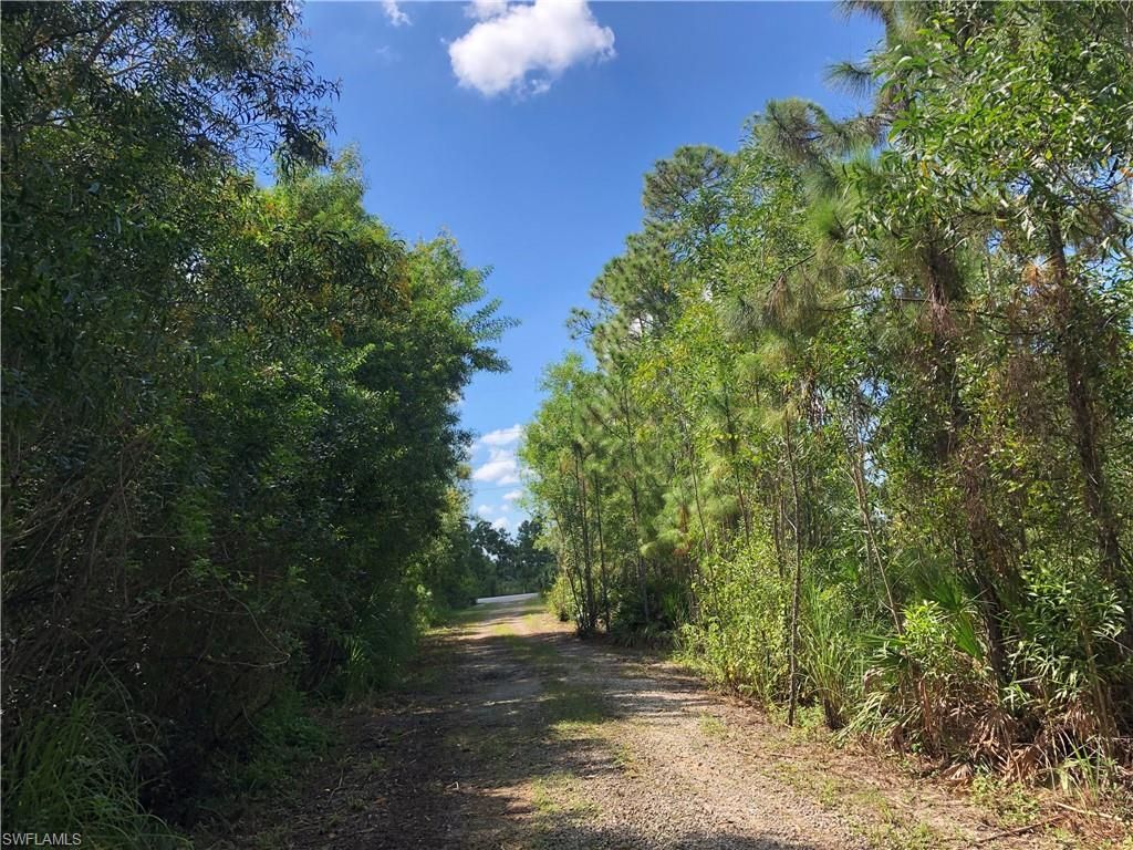 19665 Immokalee Rd, Naples, FL 34120 Photo