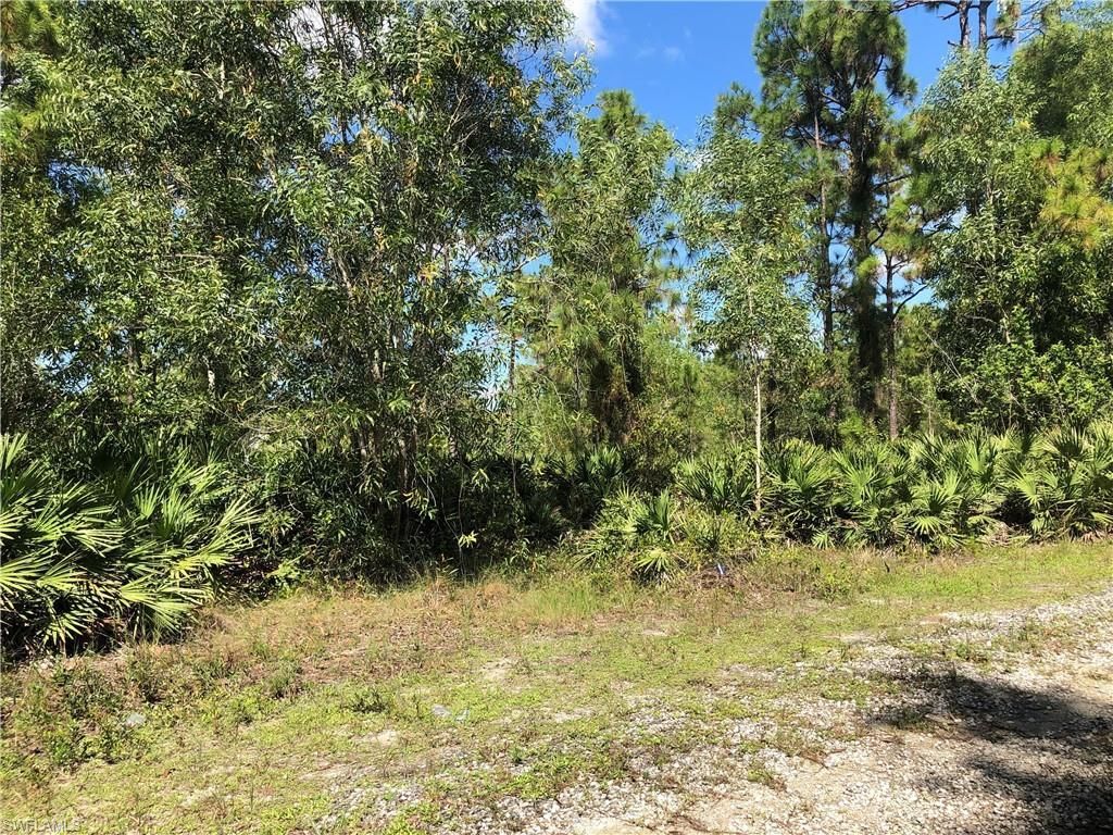 19665 Immokalee Rd, Naples, FL 34120 Photo