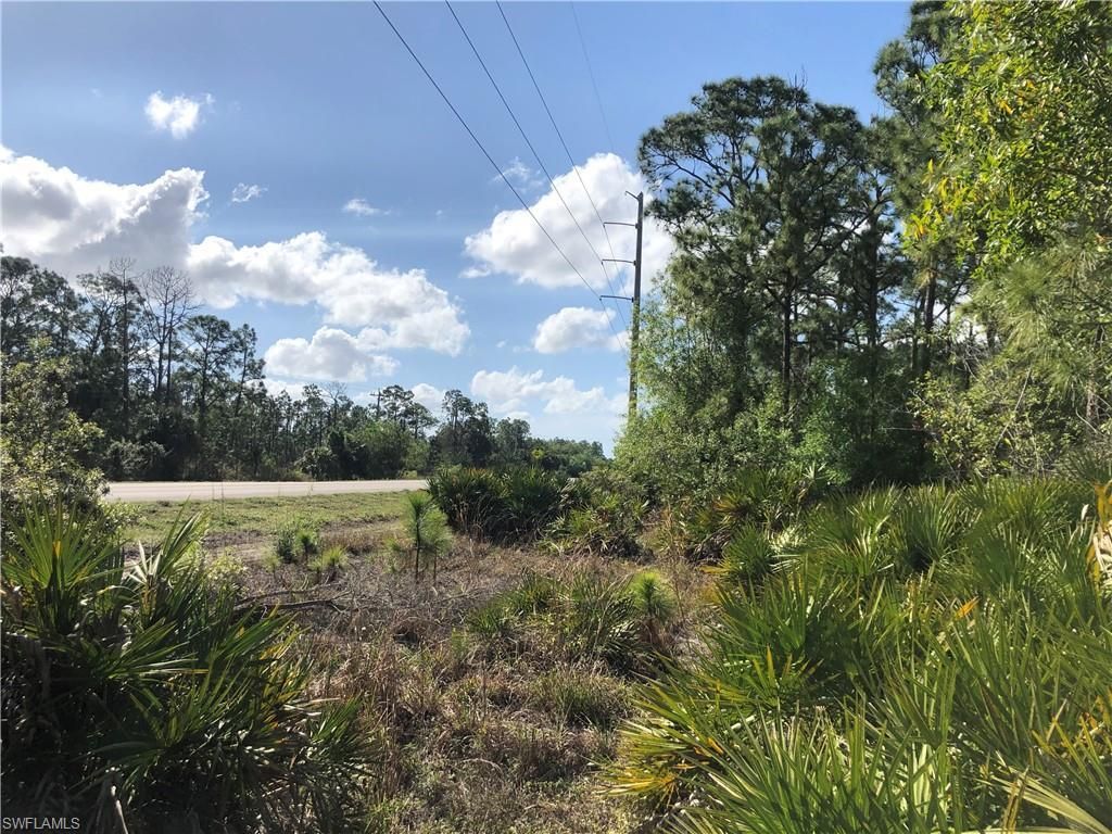 19665 Immokalee Rd, Naples, FL 34120 Photo