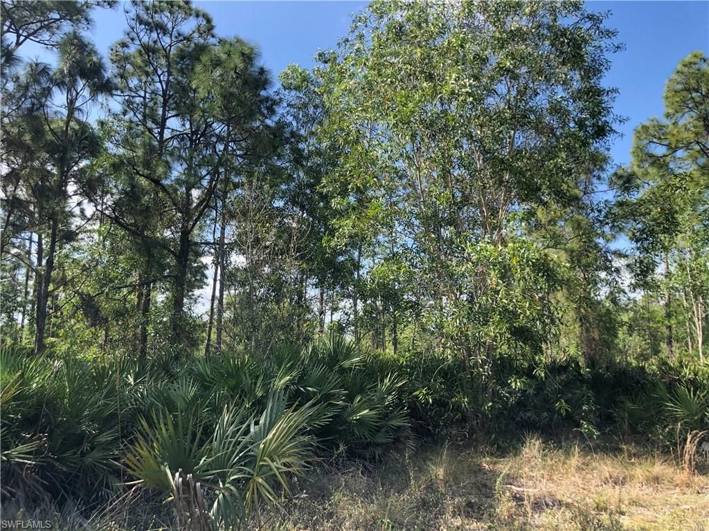 19665 Immokalee Rd, Naples, FL 34120 Photo