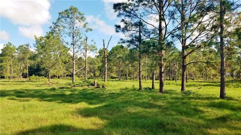 Litchfield Loop, Winter Haven, FL 33884 Photo