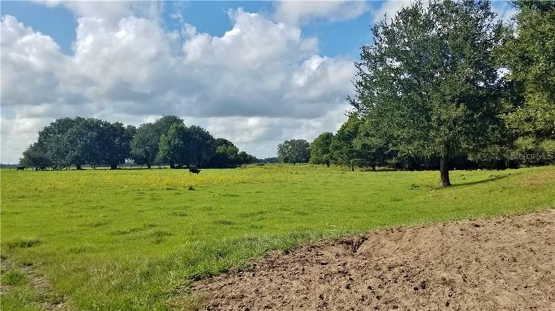 Litchfield Loop, Winter Haven, FL 33884 Photo