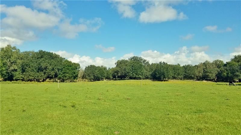 Litchfield Loop, Winter Haven, FL 33884 Photo