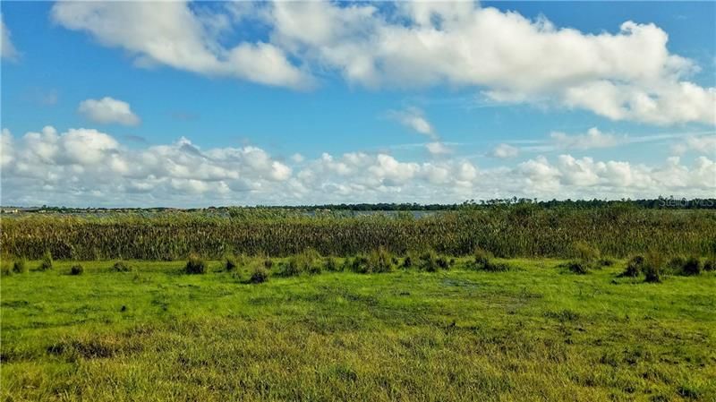Litchfield Loop, Winter Haven, FL 33884 Photo
