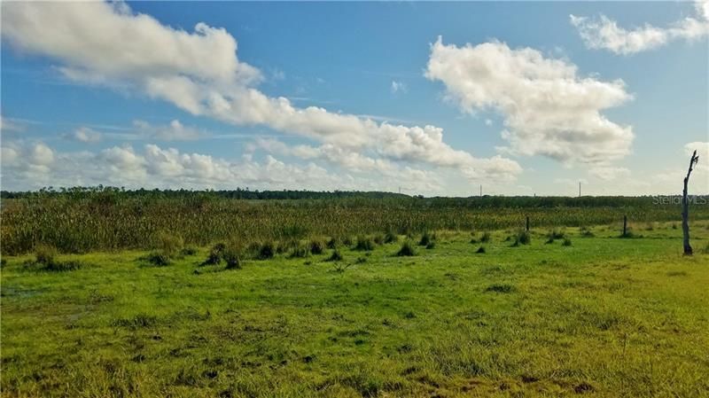 Litchfield Loop, Winter Haven, FL 33884 Photo