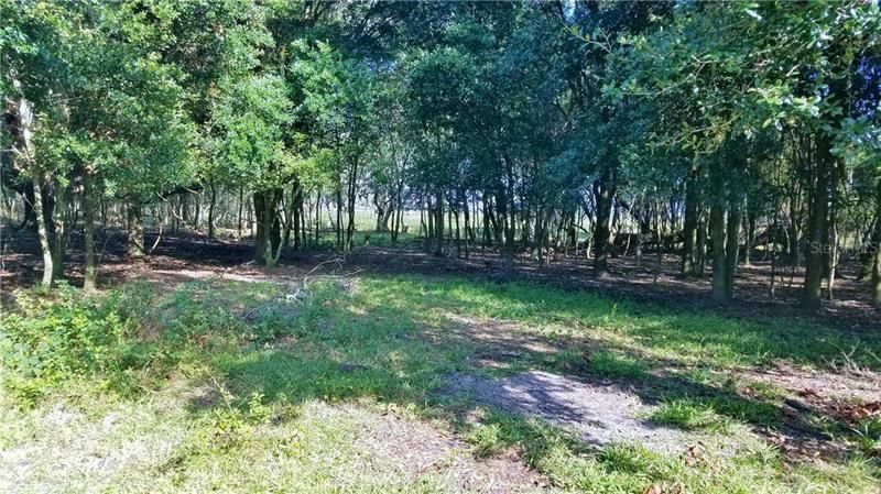 Litchfield Loop, Winter Haven, FL 33884 Photo