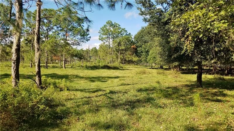 Litchfield Loop, Winter Haven, FL 33884 Photo