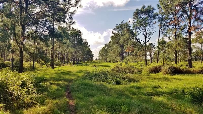 Litchfield Loop, Winter Haven, FL 33884 Photo