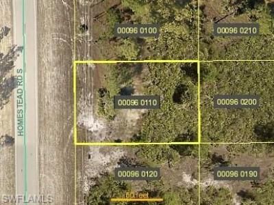 845 Homestead Rd S, Lehigh Acres, FL 33974 Photo