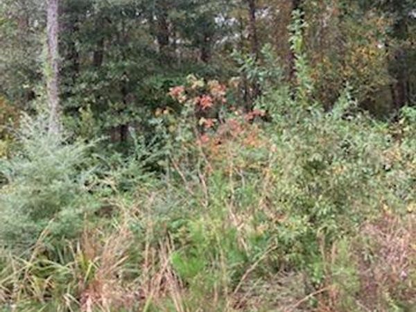 18625 E LA 22 Highway, Ponchatoula, LA 70454