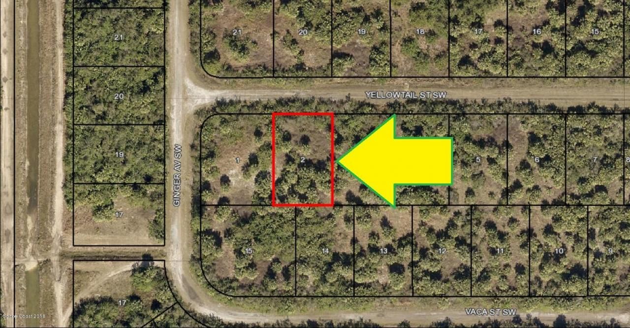 880 Yellowtail Street Sw, Palm Bay, FL 32908 Photo
