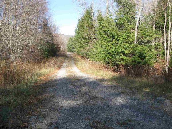 lot 49 Mountain View Road Drive, Davis, WV 26260