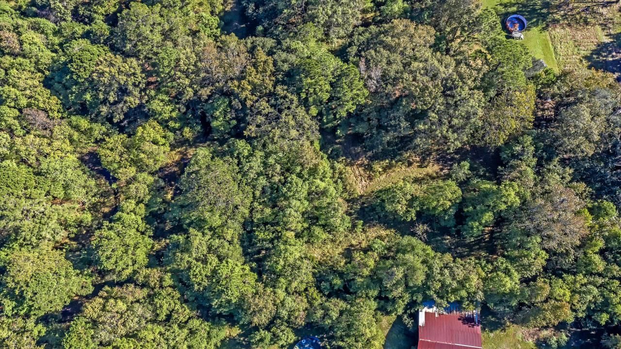 0 Joe Rouse Road Photo 17