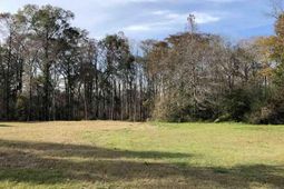 10a Bear Bluff Dr. photo 4