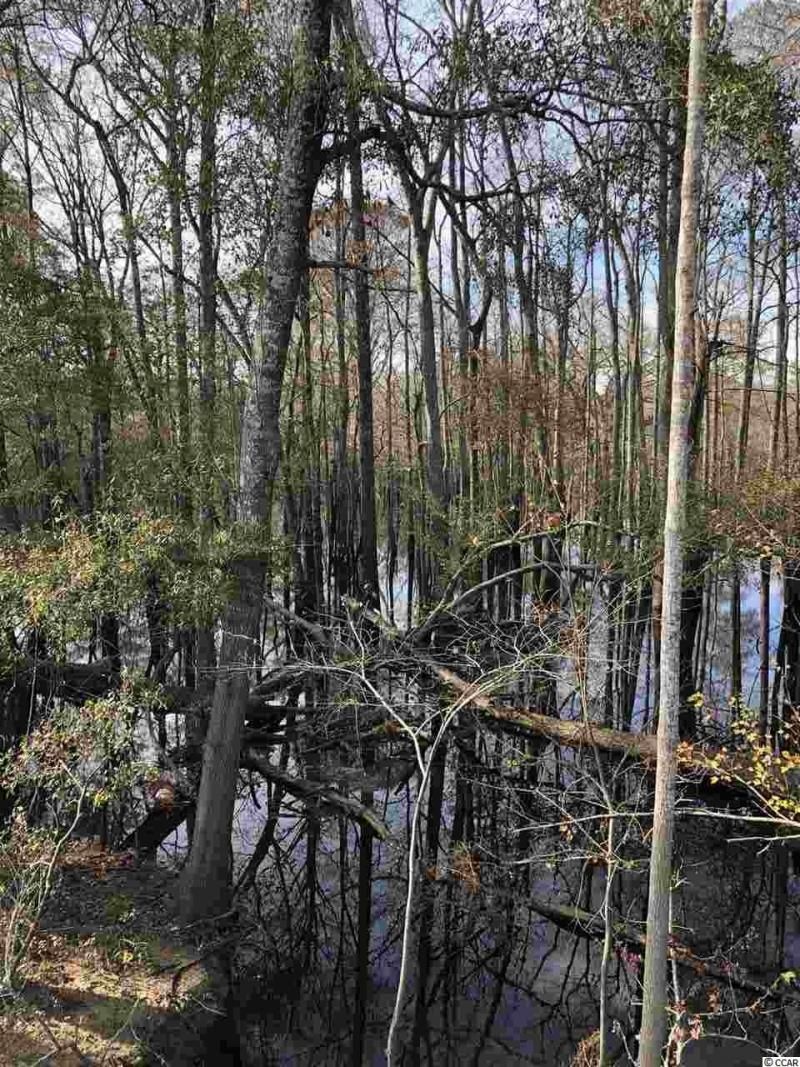 10a Bear Bluff Dr. Photo 6
