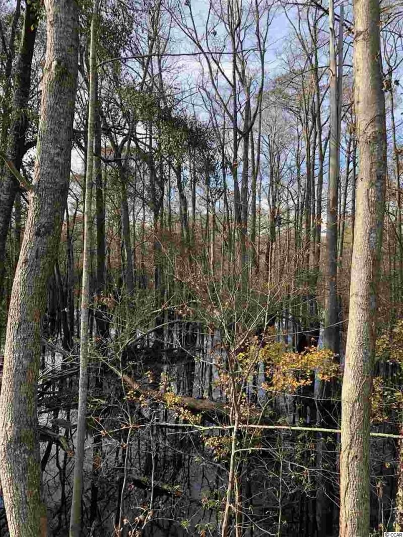 10a Bear Bluff Dr. Photo 7