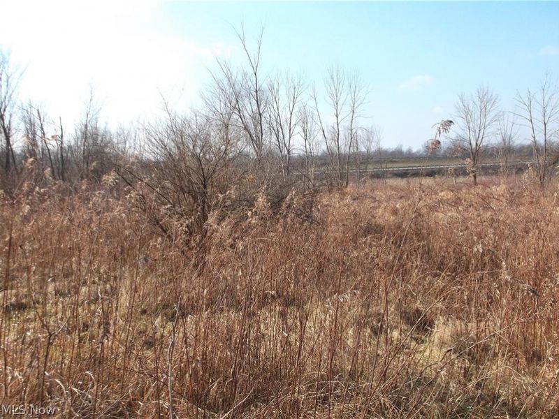 56525 Vocational Road, Buffalo, OH 43722 Photo 14