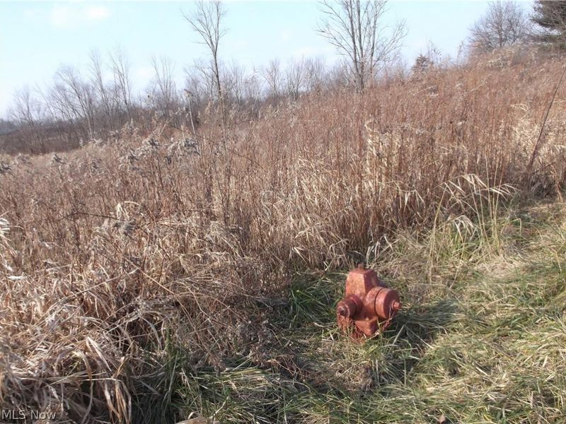 56525 Vocational Road, Buffalo, OH 43722 Photo 21