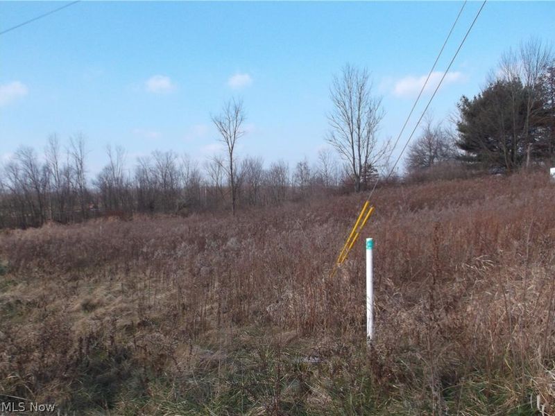 56525 Vocational Road, Buffalo, OH 43722 Photo 22