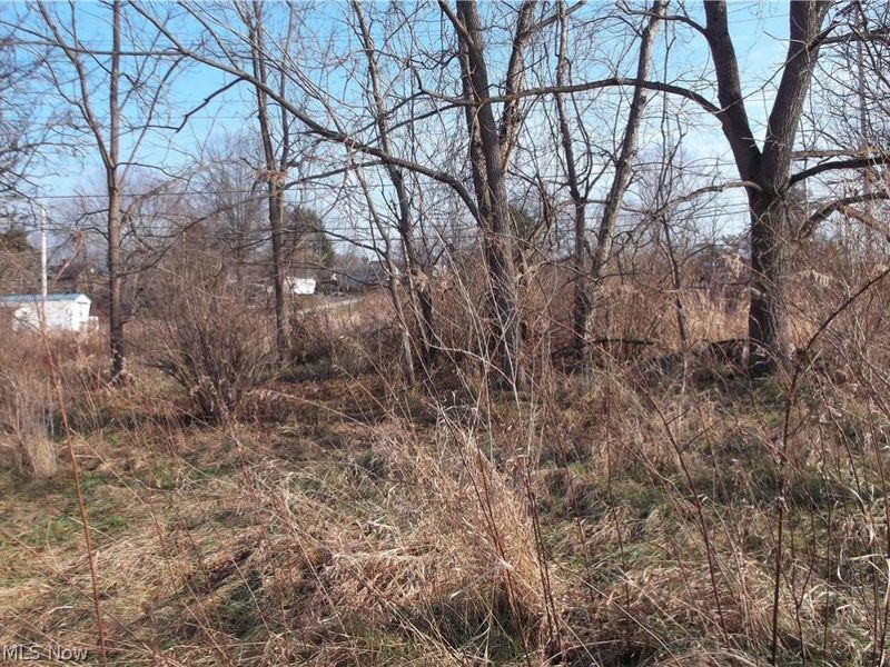 56525 Vocational Road, Buffalo, OH 43722 Photo 9