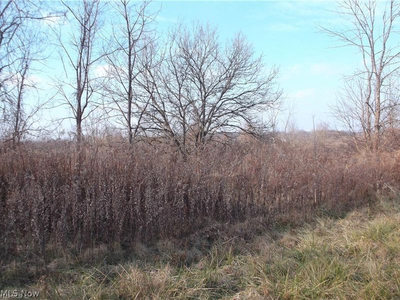 56525 Vocational Rd, Buffalo, OH 43722 Photo 11