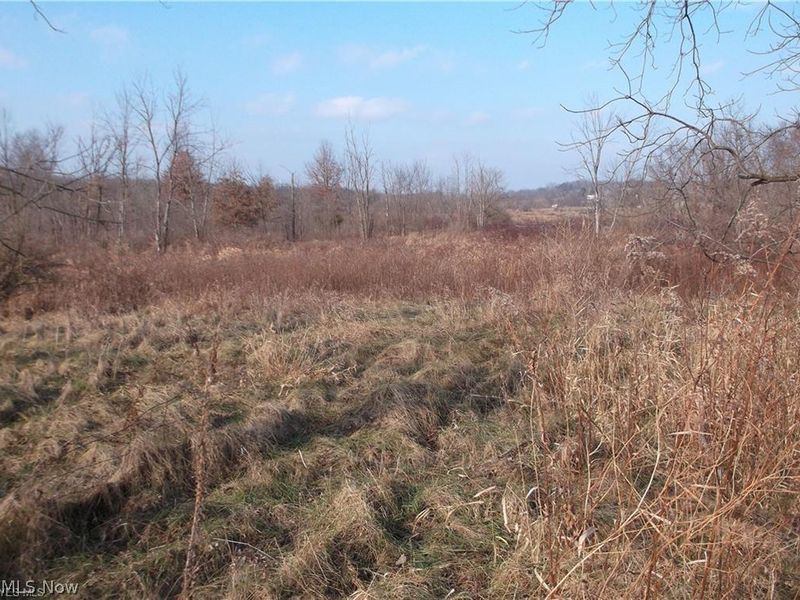 56525 Vocational Rd, Buffalo, OH 43722 Photo 13