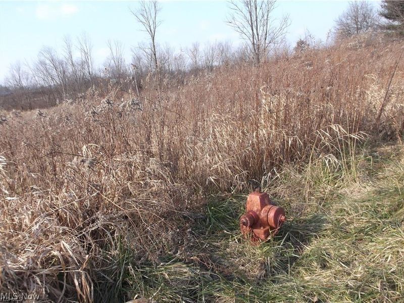 56525 Vocational Rd, Buffalo, OH 43722 Photo 21