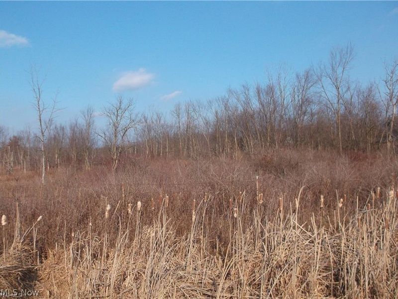 56525 Vocational Rd, Buffalo, OH 43722 Photo 25