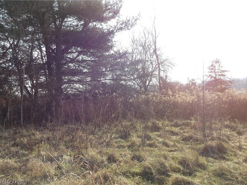 56525 Vocational Rd, Buffalo, OH 43722 Photo 5