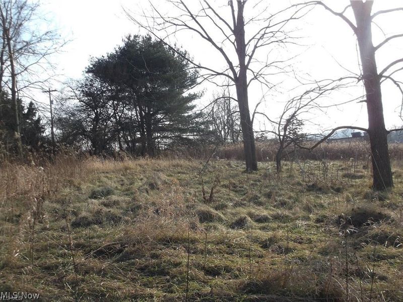 56525 Vocational Rd, Buffalo, OH 43722 Photo 6