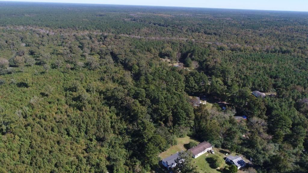 2280 Cainhoy Road Photo 3