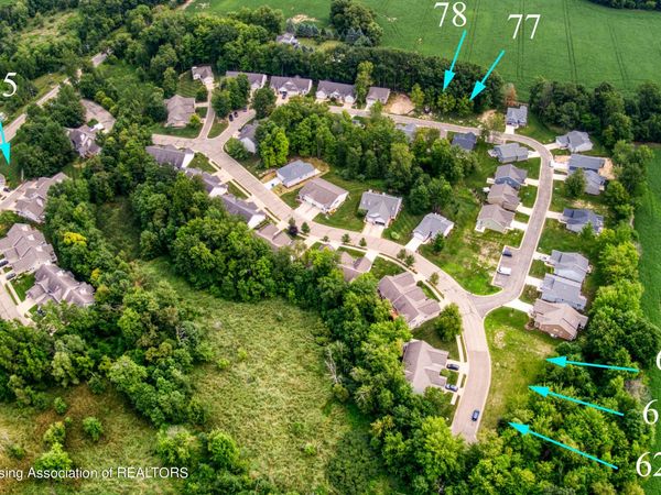 1546 Nottingham Forest Trail #62 Trail, Williamston, MI 48895