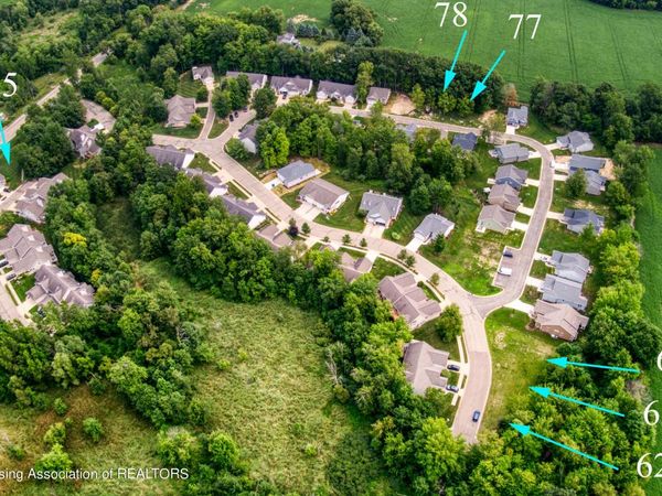 1544 Nottingham Forest Trail #63, Williamston, MI 48895