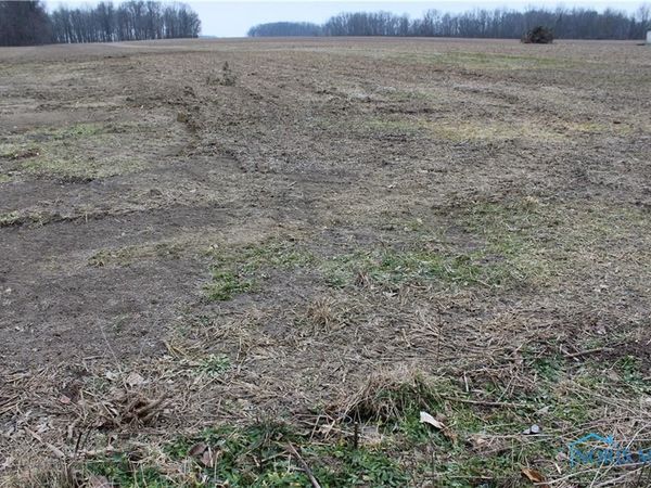 0 S Davis Street, Forest, OH 45843