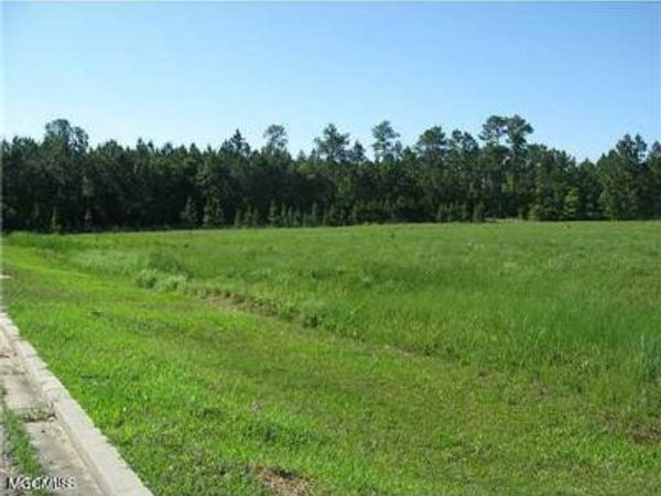 10 Acres Highway 603, Bay Saint Louis, MS 39520
