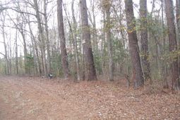 5563 Mauss Hill Rd. photo 4