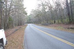 5563 Mauss Hill Rd. photo 4