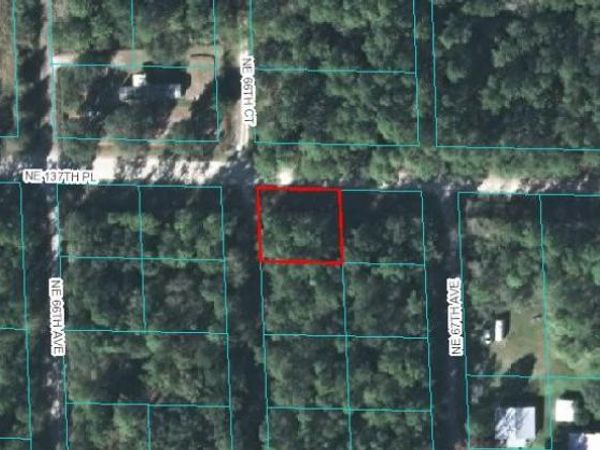 00 NE 66TH COURT, CITRA, FL 32113