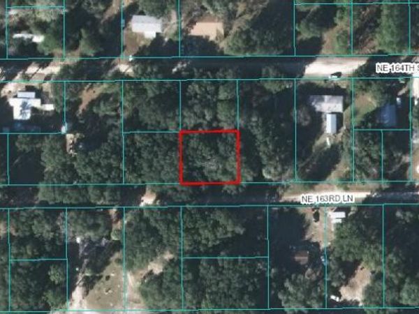 00 NE 163RD LANE, CITRA, FL 32113