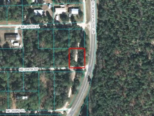 00 NE 204TH STREET, FORT MC COY, FL 32134