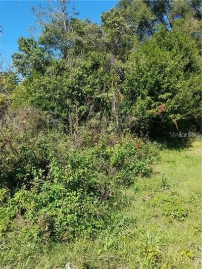 5 Lenox Court, Deland, FL 32720 Photo